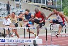 M50 100 Hurdle Prelim2